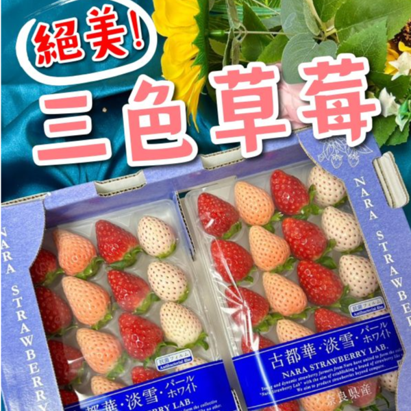 日本三色草莓 