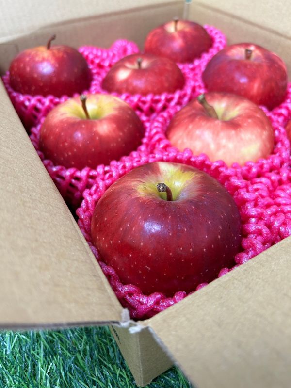 紐西蘭【Dazzel閃耀】脆甜蘋果 