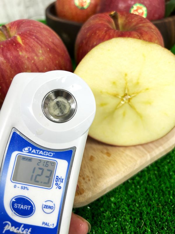 <少量零購>日本青森蜜富士蘋果 