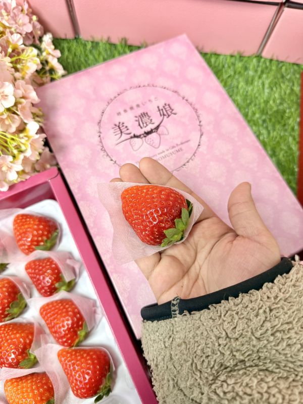 日本岐阜美濃娘 