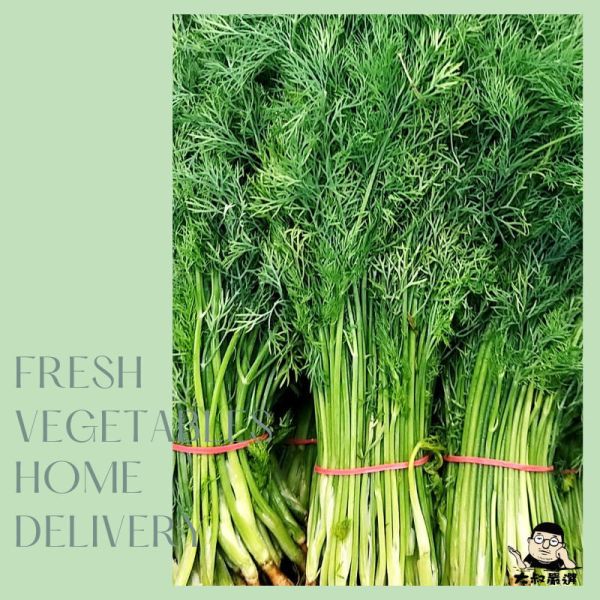 茴香 約250克±10% 