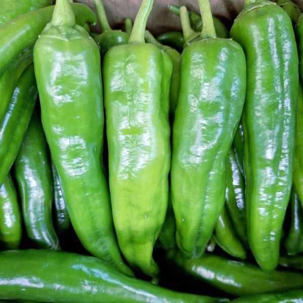 角椒 約300克±10% 