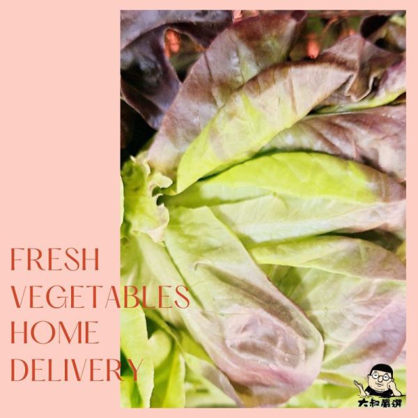 綜合生菜C 約250g±10% 