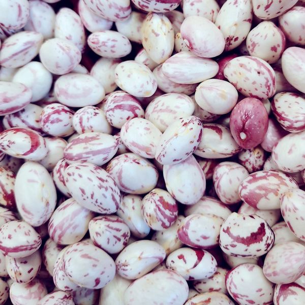 虎斑豆珍珠豆 約300克 ±10% 