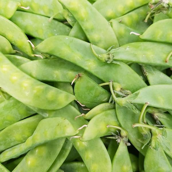 荷蘭豆 約300克±10% 