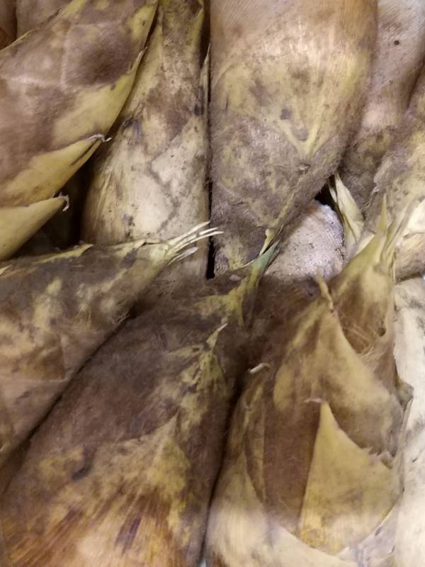 冬筍(特) 約600克 ±10% 