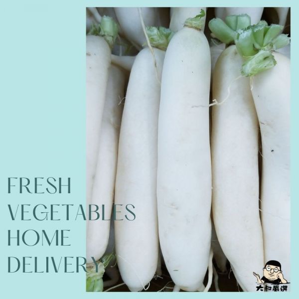 白玉蘿蔔 約600克±10% 