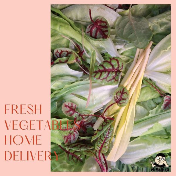 綜合生菜B 約150g±10% 