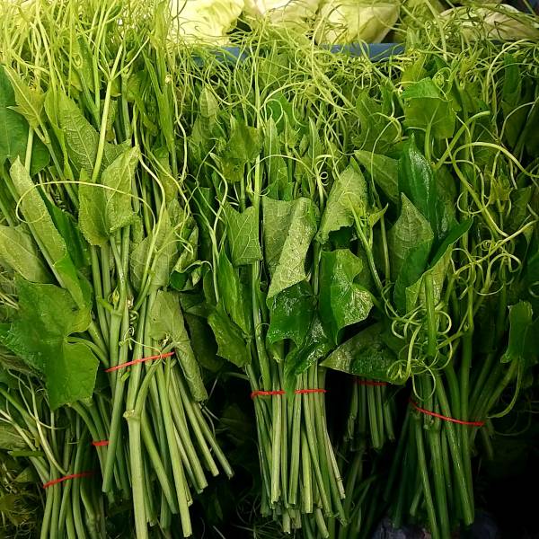 龍鬚菜 約300克±10% 