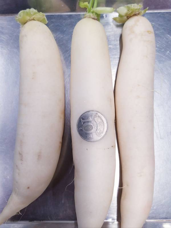 白玉蘿蔔 約600克±10% 