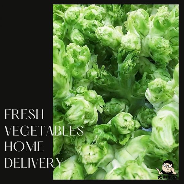 兒菜 約1200克 ±10% 