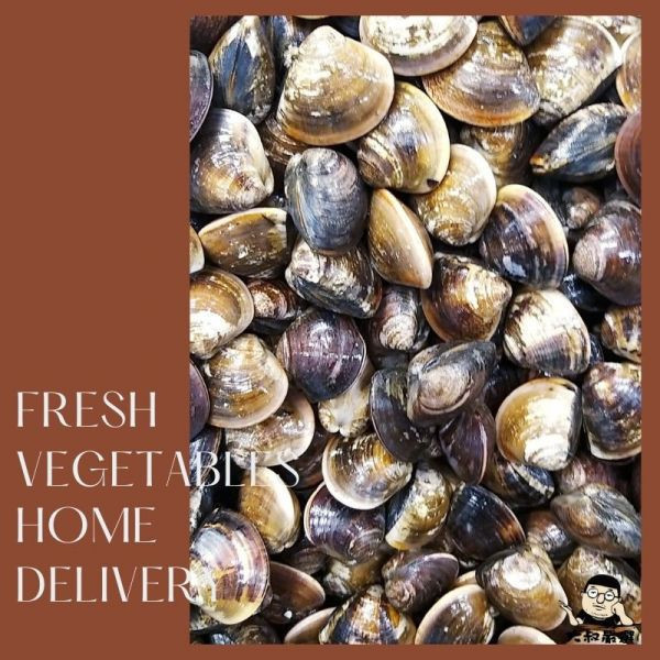 蛤蜊（真空包）(小顆) 約600克±10% 