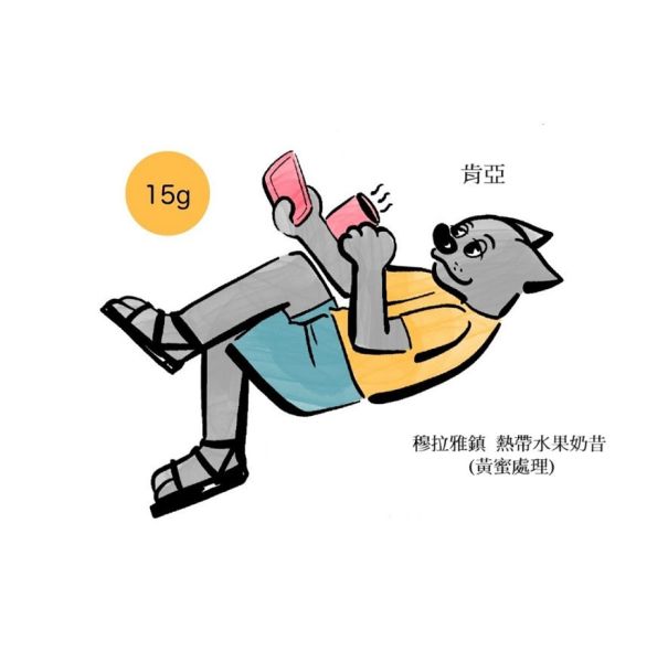 肯亞  熱帶水果奶昔  穆拉雅鎮 (黃蜜處理) 肯亞  熱帶水果奶昔  穆拉雅鎮 (黃蜜處理)
