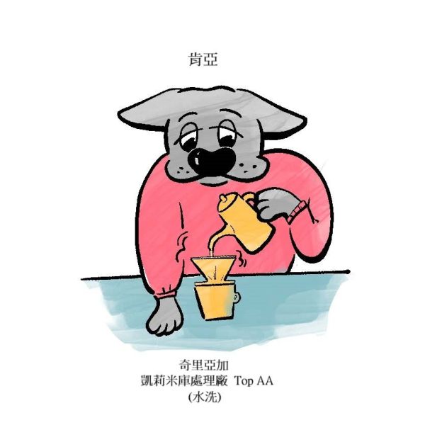 肯亞  奇里亞加  凱莉米庫處理廠   Top AA (水洗) 肯亞  奇里亞加  凱莉米庫處理廠   Top AA (水洗)