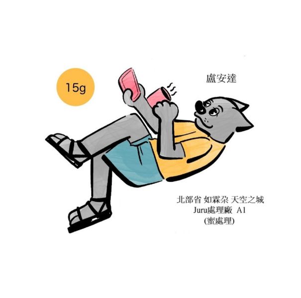 盧安達  北部省  如霖朶 天空之城  Juru處理廠 A1 (蜜處理) 盧安達  北部省  如霖朶 天空之城  Juru處理廠 A1 (蜜處理)