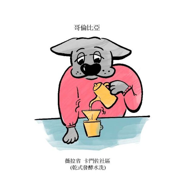 哥倫比亞  薇拉省  卡門佐社區 (乾式發酵水洗) 哥倫比亞  薇拉省  卡門佐社區 (乾式發酵水洗)