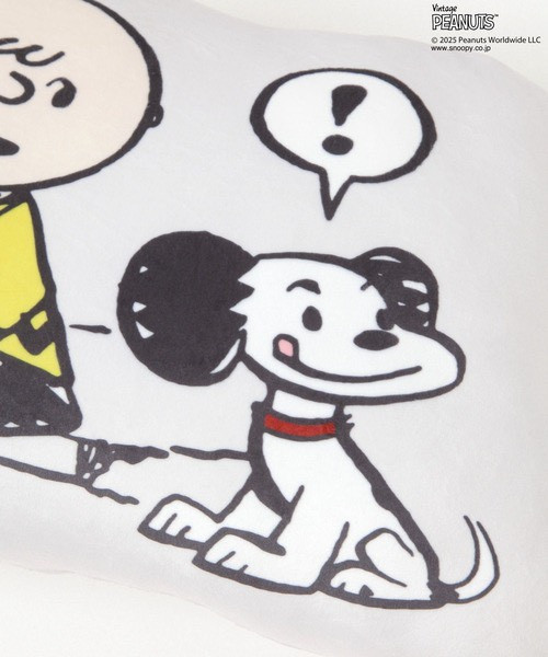 Snoopy 復古漫畫風抱枕 (BAYFLOW限定款) 