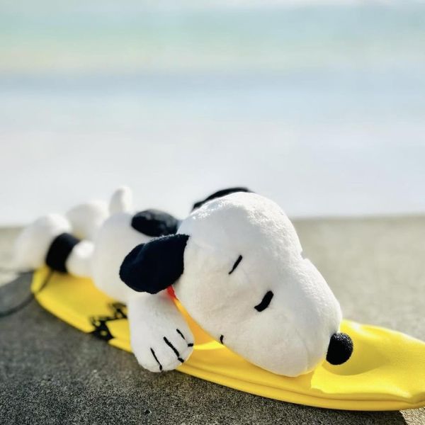 Snoopy Surf Shop 限定 衝浪史努比玩偶 