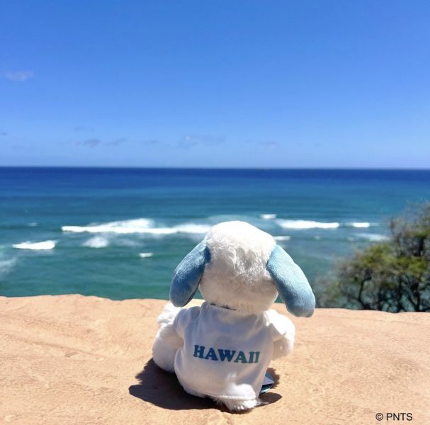 Snoopy surf shop 史努比Hawaii柔軟沙包玩偶 