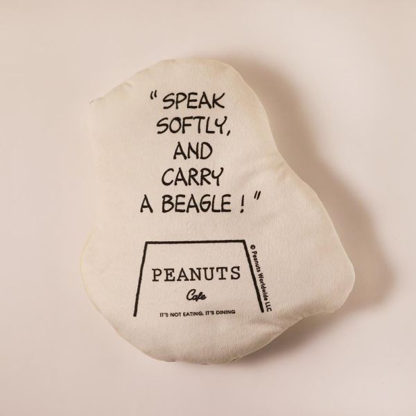 PEANUTS cafe 莎莉布朗抱枕(附毯子) 