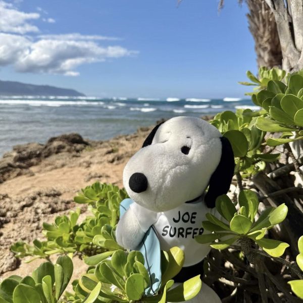 Snoopy surf shop 史努比衝浪造型玩偶 