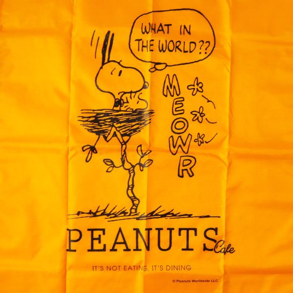 Peanuts Cafe 登山扣收納野餐墊 