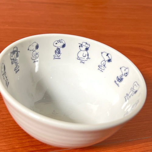 mc. 史努比 兄弟圖陶瓷圓碗&拉麵碗 