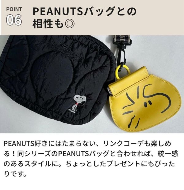 Snoopy 隨身小垃圾包/收納包 