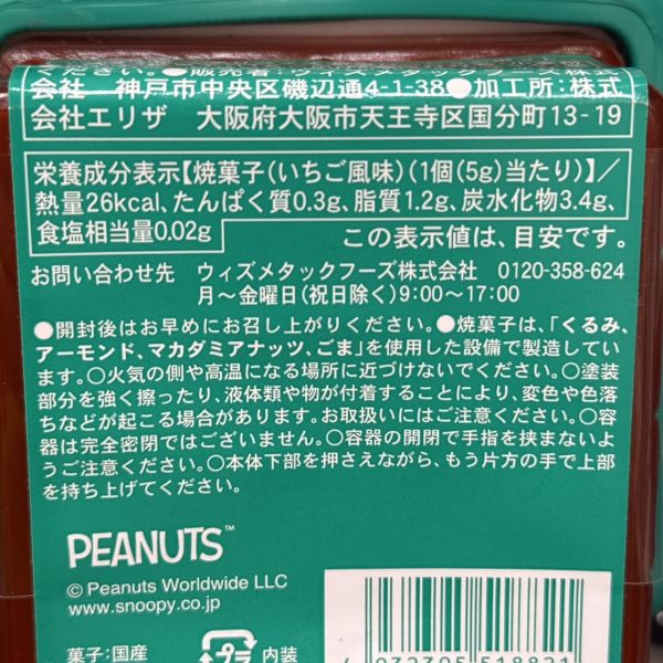 SNOOPY 聖誕造型餅乾罐 