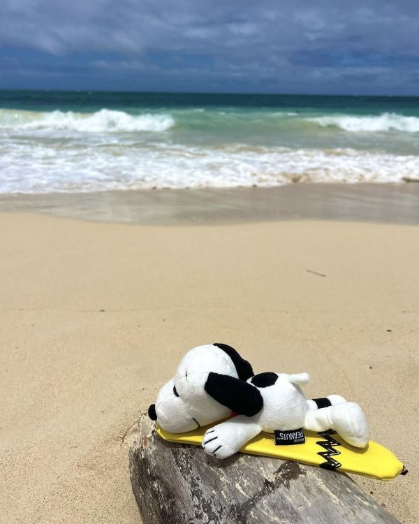 Snoopy Surf Shop 限定 衝浪史努比玩偶 