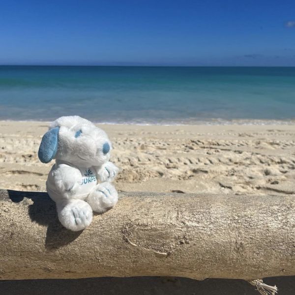 Snoopy surf shop 史努比Hawaii柔軟沙包玩偶 