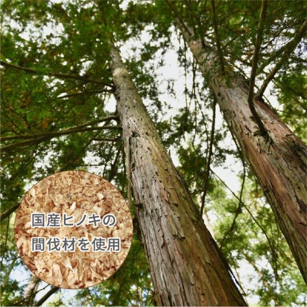 Hashy 米菲 日本產檜木泡澡組合 