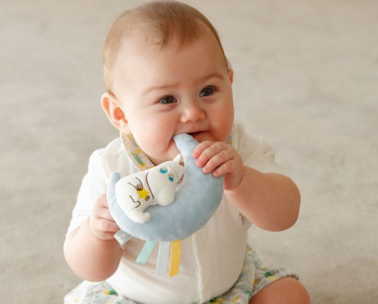 MOOMIN 嚕嚕米 嬰兒手搖鈴安撫玩具 