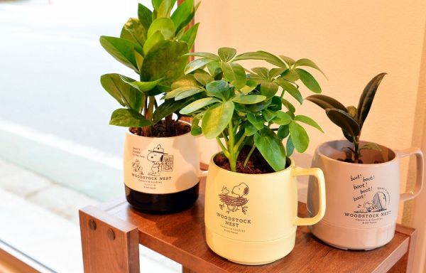 Woodstock Nest 輕量馬克杯 