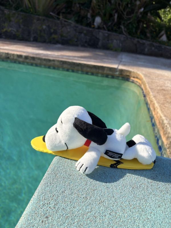 Snoopy Surf Shop 限定 衝浪史努比玩偶 