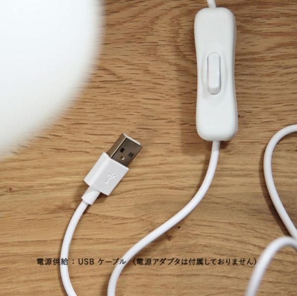 Moomin 溜溜樹精USB夜燈 