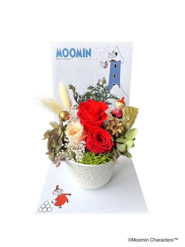 Moomin × Little My 聖誕永生花 