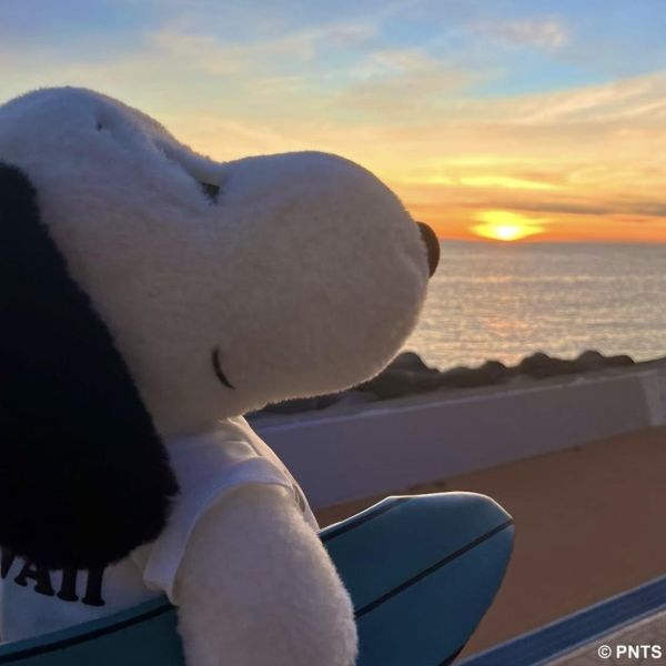Snoopy surf shop 史努比衝浪造型玩偶 