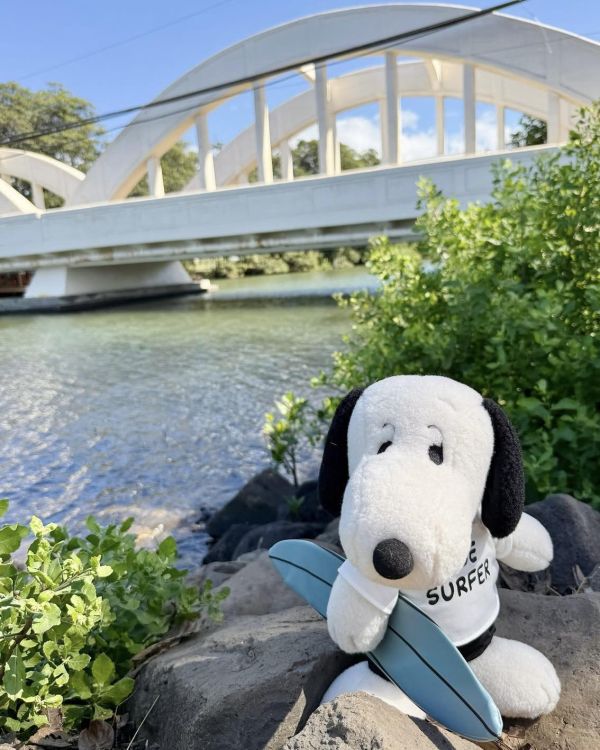 Snoopy surf shop 史努比衝浪造型玩偶 