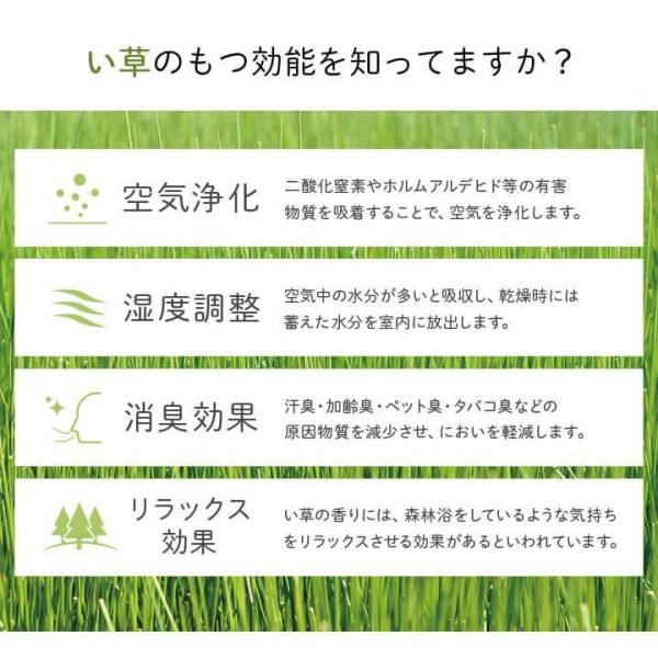 ikehiko 麵包超人六格圖涼爽藺草蓆墊 70x120 