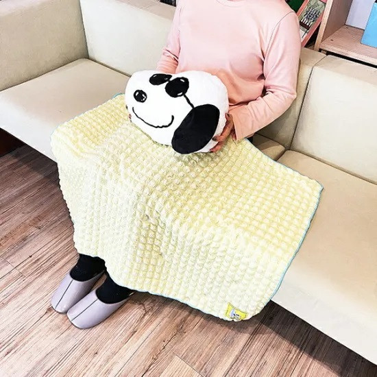 西川 Joe cool毛巾布抱枕附毛毯 