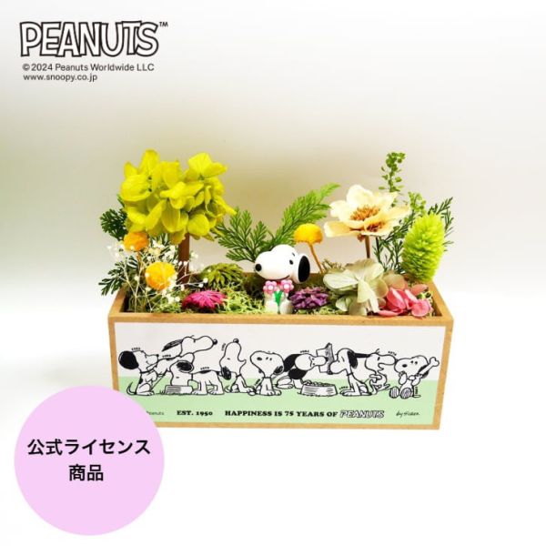 Peanuts 75週年史努比乾燥花森林擺設 