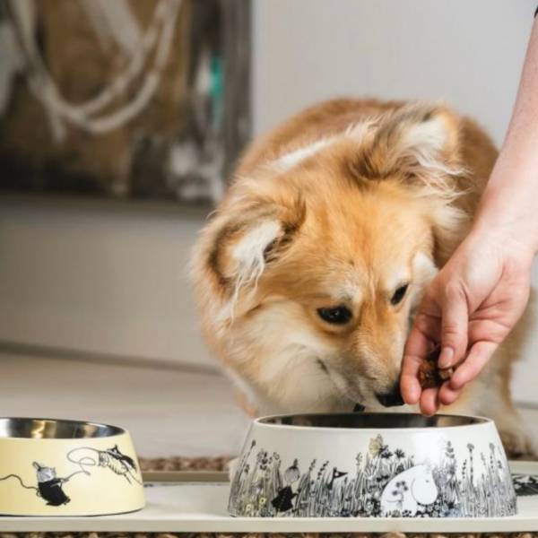 芬蘭Muurla x Moomin 寵物碗 (L) 