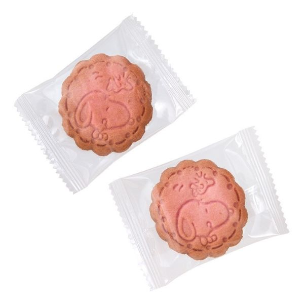 SNOOPY 聖誕造型餅乾罐 