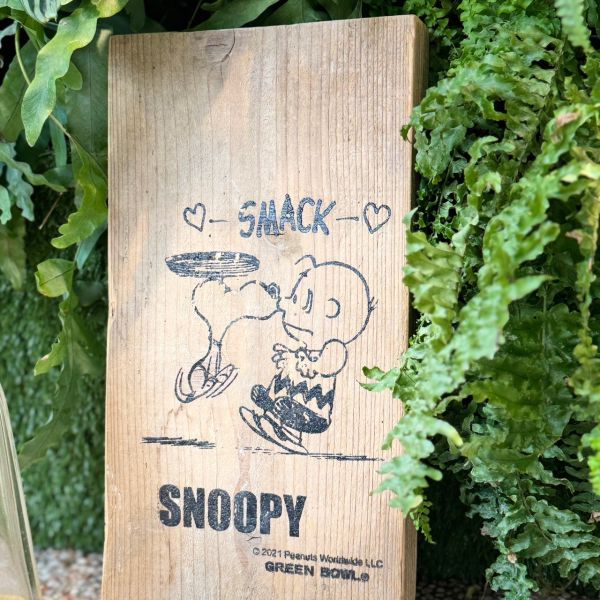 SNOOPY × OLD BETTY'S 木頭擺飾 