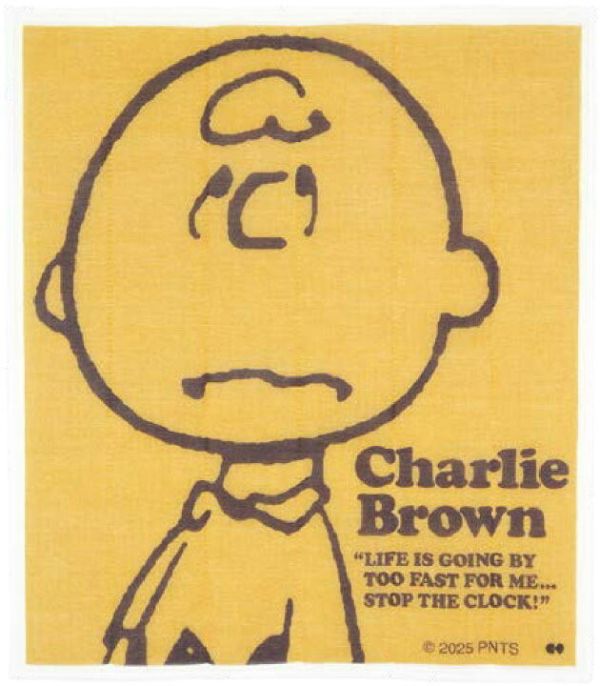 PEANUTS復古系列 經典名言廚房布巾 