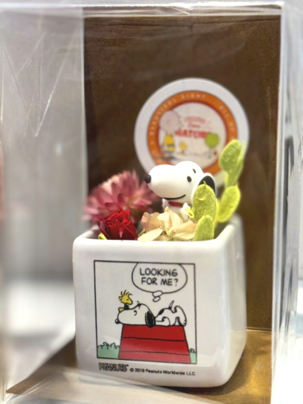 Snoopy  春天永生花器系列 
