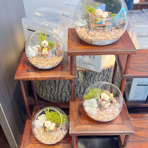 Snoopy茶屋 史努比玻璃造景擺設 