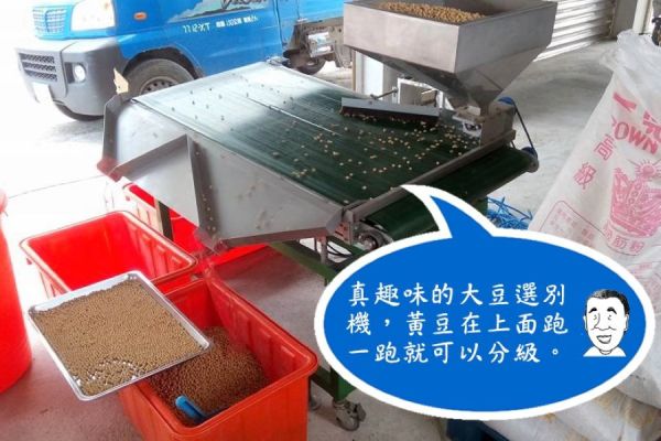 有機黑豆／黃豆／綠豆 黑豆,有機黑豆,台南3號