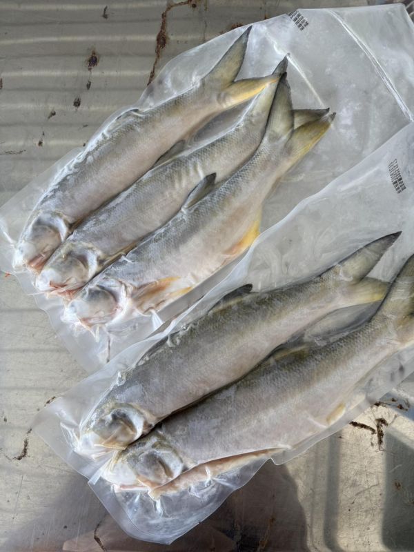 午仔魚（3尾/包） 